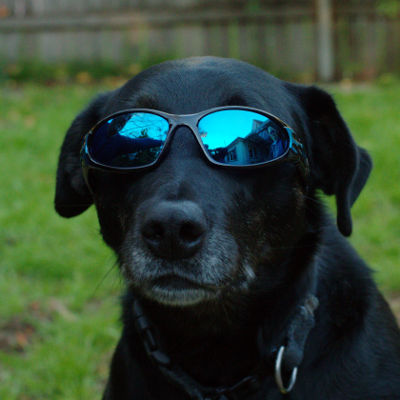 Tia wearing sunglasses